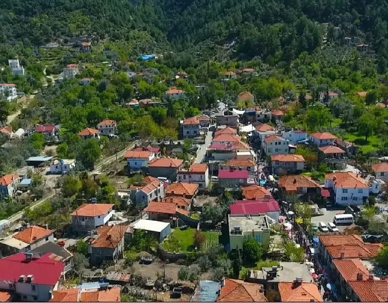 Yeşilüzümlü Transfers